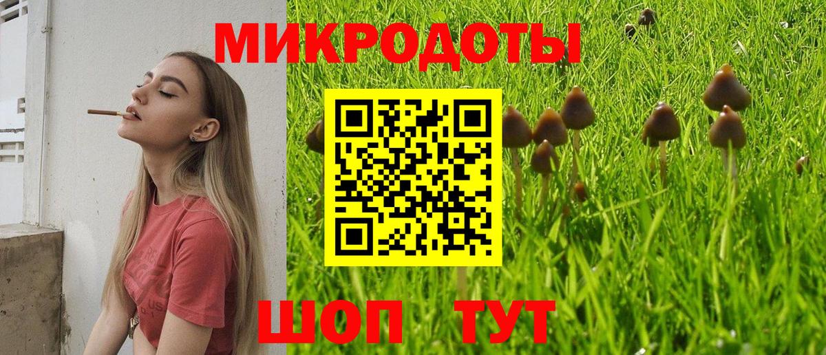 Галлюциногенные грибы Magic Shrooms Луховицы