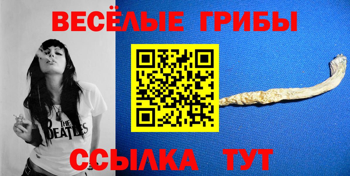Псилоцибиновые грибы Psilocybe  Вход с VPN  Луховицы 